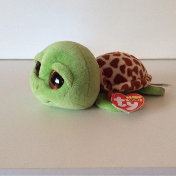 zippy ty turtle